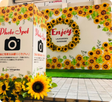 名前が入ります
